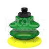 Multi Bellows Suction Cup Polyurethane 30/60 with Filter G1/8 Male