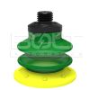 Multi Bellows Suction Cup Polyurethane 30/60 with Filter G/ Male